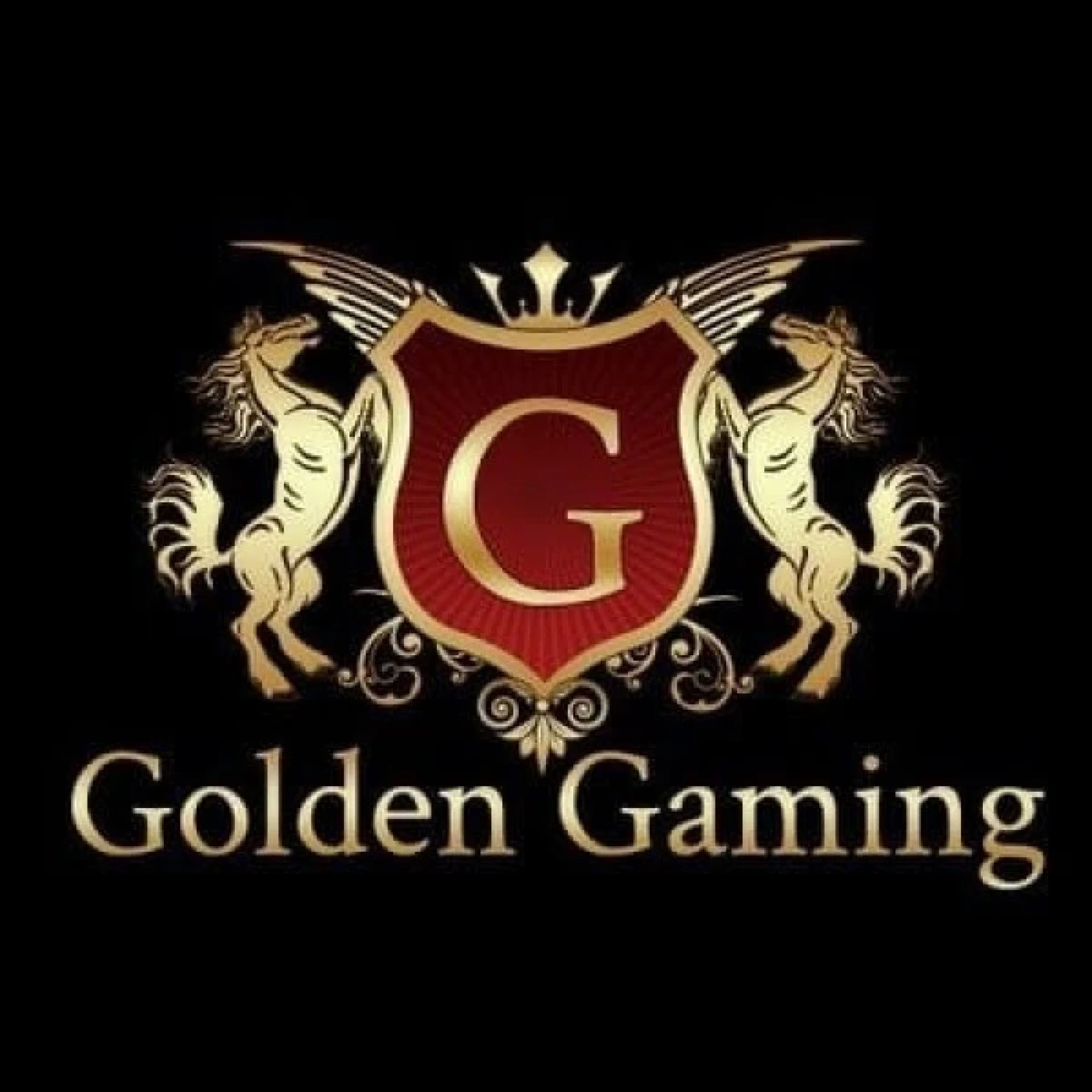 Cygnett inn Krishna Casino