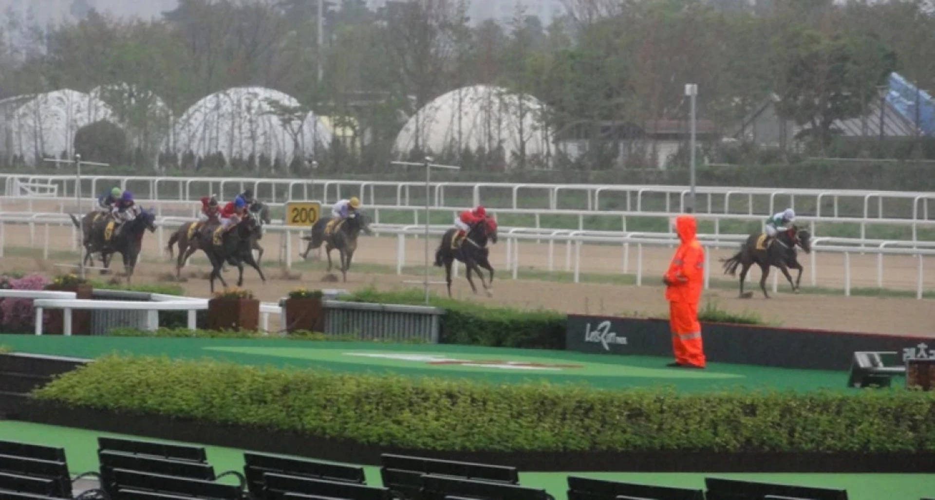 LetsRun Park - Seoul